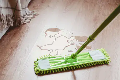 Cleaning up a water leak on the wooden floor with a green mop